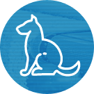 Usuwanie sierści, włosów z dywanów